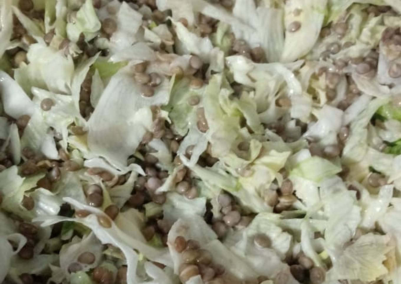 Ensalada de lentejas con lechuga