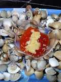 42. Kerang dara dan kerang Tahu Rebus sambal Colek Bawang Putih