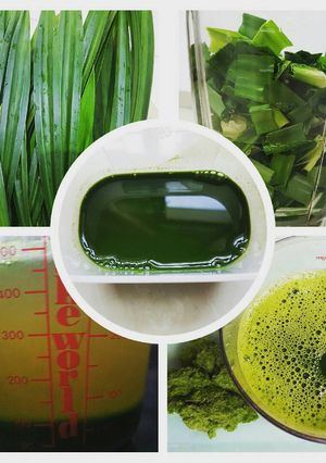 Foto resep Pandan Ekstrak / Sari Pandan