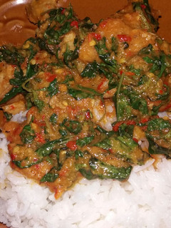 Foto resep Rica Ayam Kemangi