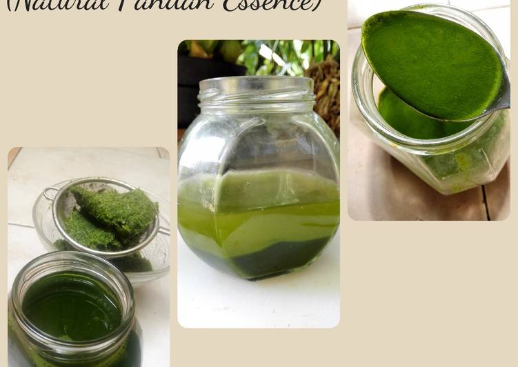 Cara Gampang Menyiapkan Natural Pandan Essence (Endapan Pandan) yang Lezat Sekali