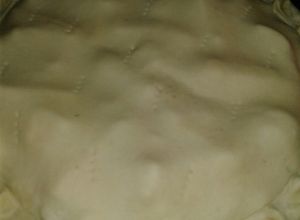 Una foto de Masa de tartas o pascualina casera