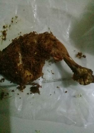 Foto resep Ayam Goreng Rempah