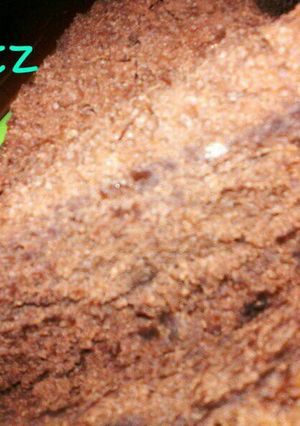Foto resep Cake coklat tanpa telur&mixer