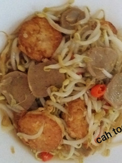 Foto resep Cah Toge Tofu Bakso