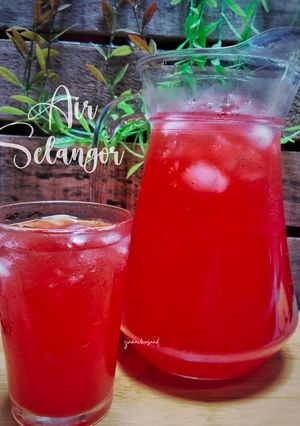 Gambar Air Selangor