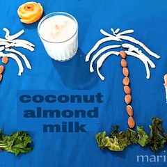 Coconut almond milk A picture of Coconut almond milk.