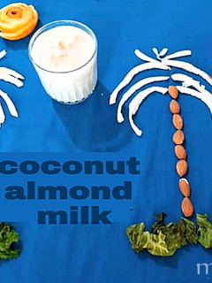 A picture of Coconut almond milk.