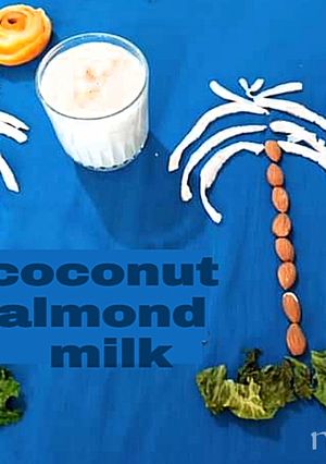 A picture of Coconut almond milk.