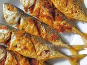 Gambar ikan kembung goreng