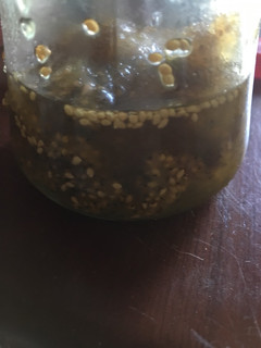 Una foto de Dulce de moras