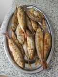 Jurelitos fritos