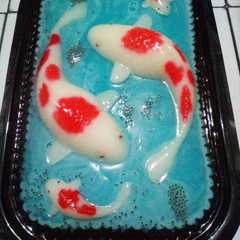 รูปของ Puding ikan koi