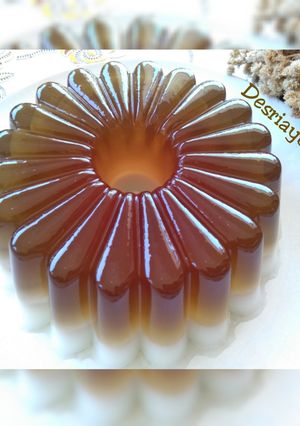 Foto resep Puding Cincau Santan Susu