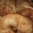Torta fritas