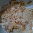Peyek rebon