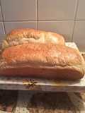 Panes de molde🍞🍞