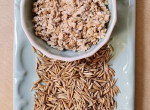 Una foto de Avena fermentada 🌾 Receta básica para preparaciones dulces o saladas 🥣