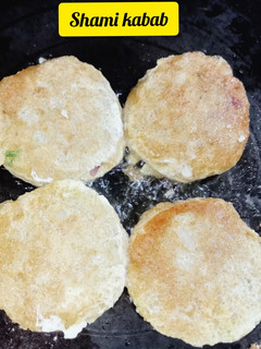 A picture of Shami kabab.