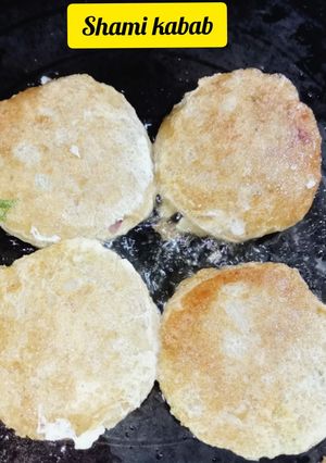 A picture of Shami kabab.