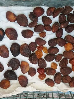 عکسی از دستور خشک کردن زردآلو درسته
