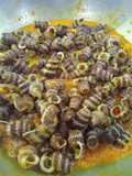 Gulai keong nenek