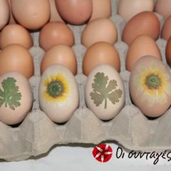 A picture of Egg dyeing using pantyhose.