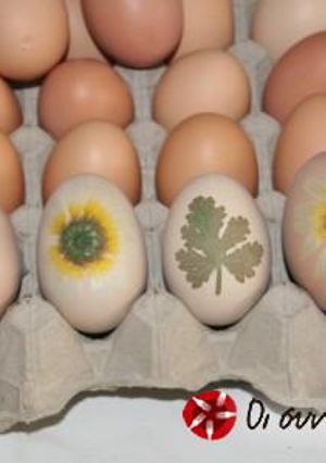 A picture of Egg dyeing using pantyhose.