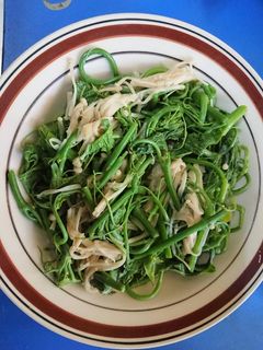 金針菇炒龍鬚菜 的食譜成品照片