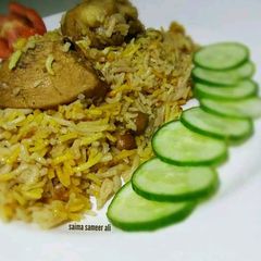 A picture of Punjabi daigi pulao.