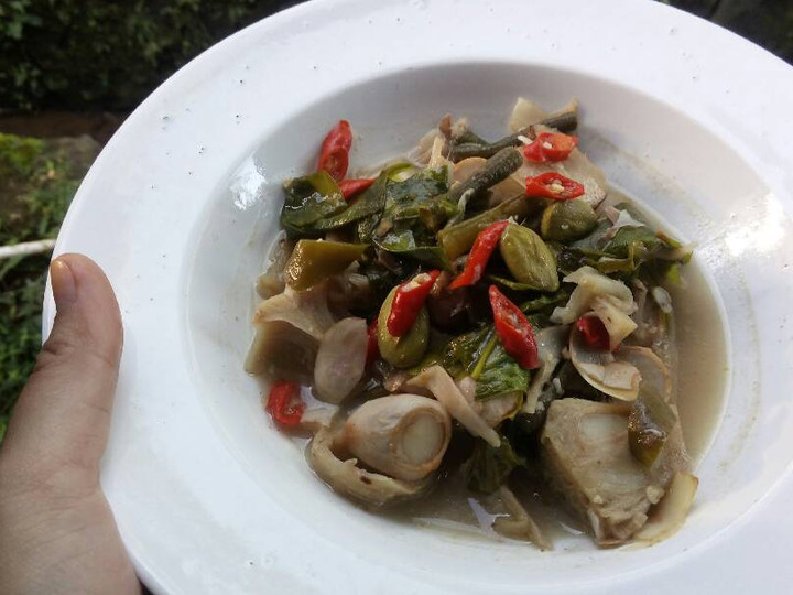 Resep Sayur Lodeh Kluwih yang Lezat
