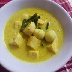 A picture of Sayur Tahu Bumbu Kuning.