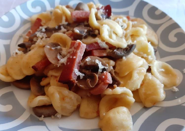 Orecchiette con funghi e speck