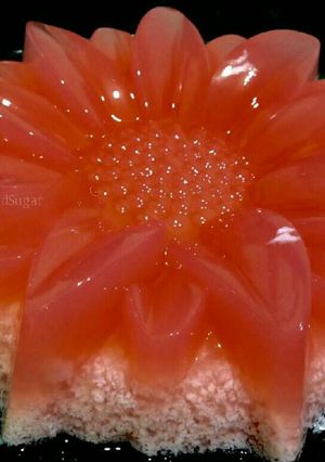 Foto resep Puding Lumut Merah