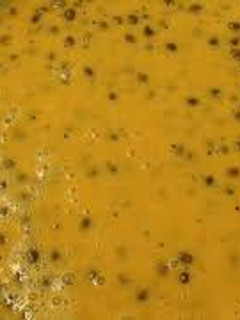 ચણા બેસન નું શાક (Chana Besan Shak Recipe In Gujarati) રેસીપી મુખ્ય ફોટો