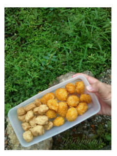 Foto resep BAHU (Bakso Tahu) GORENG