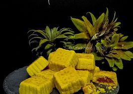 Tart Mooncake