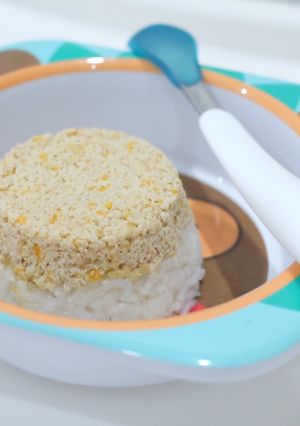 Foto resep Mpasi 9m nasi tim ayam