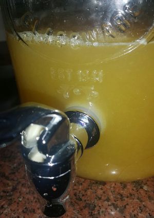 Una foto de Kéfir de agua