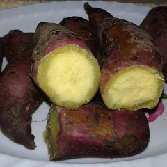 A picture of Boiled sweet potatoes.