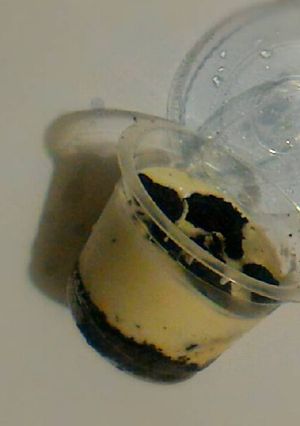 Foto resep Oreo Ice Cream Cake