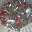 Lentejas con atún, huevo y tomate