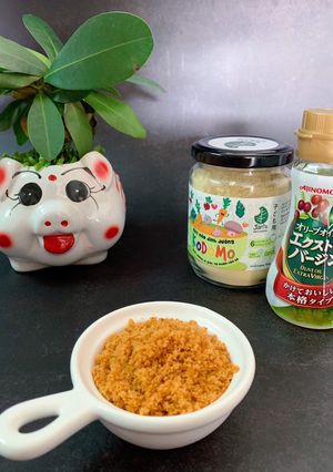 Hình của món Ruốc Cá Hồi Cho Bé < 1 tuổi.