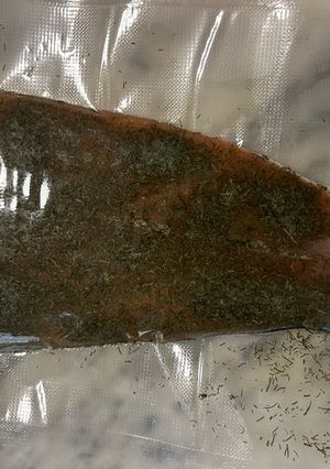 Foto di Salmone leggermente salato marinato con aneto ricetta del Baltico