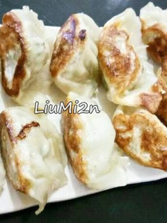 Foto resep Gyoza enak /Kuotie/dumpling Halal