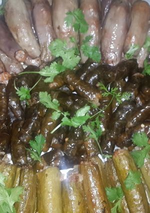صورة لوصفة طبق محشي كوسى وباذنجان وورق عنب