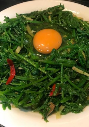 月見過貓 的食譜成品照片