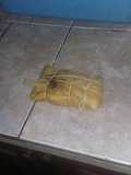 Tamales