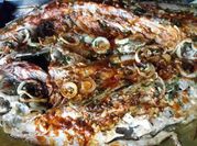 Una foto de corvina con sartén