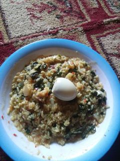 Faten shinkafa ainihin hoton girkin